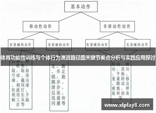 体育功能性训练与个体行为演进路径图关键节奏点分析与实践应用探讨