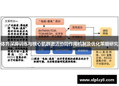 体育深蹲训练与核心肌群激活协同作用机制及优化策略研究