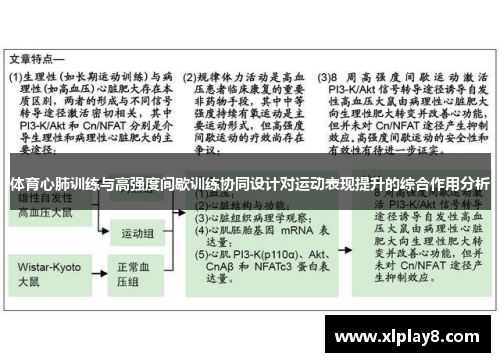 体育心肺训练与高强度间歇训练协同设计对运动表现提升的综合作用分析